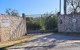 Villa Oleandro Ciccino