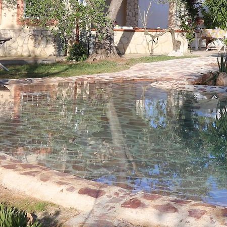 Villa Oleandro Ciccino Vieste Extérieur photo