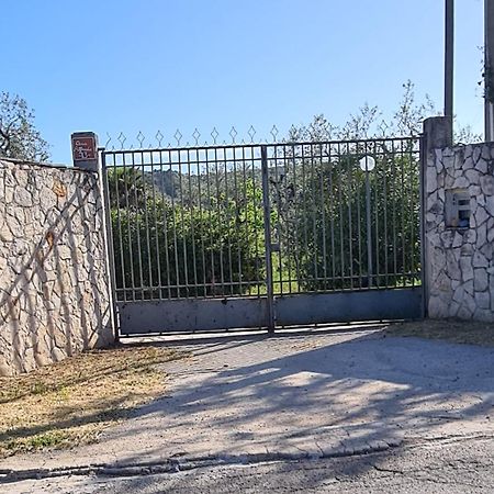 Villa Oleandro Ciccino Vieste Extérieur photo